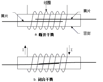 干簧繼電器：電流流經(jīng)線圈而產(chǎn)生磁場，進(jìn)而將兩個磁簧的觸點(diǎn)拉在一起